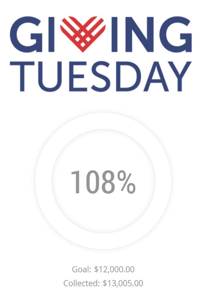 Giving Tuesday Results